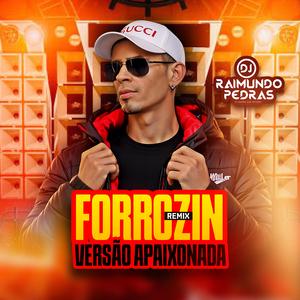 Forrozin (Versão Apaixonada) Dj Raimundo Pedras (Forrozin Remix)
