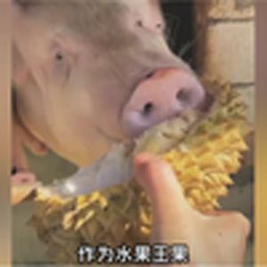 大型纪录片《广西人有自己的水果币》