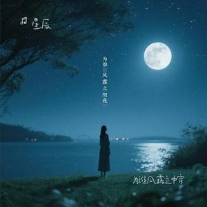 为谁风露立中宵