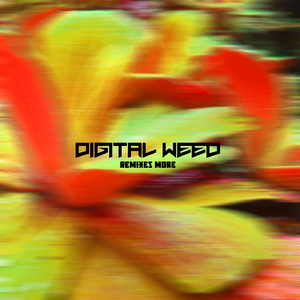 Wave Sands Tolu (Remix)