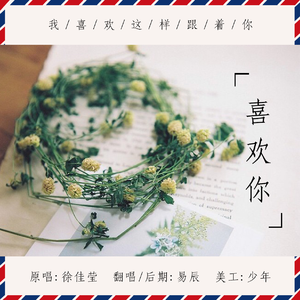 喜欢你（男生版）（翻自 徐佳莹）