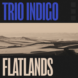 Flatlands
