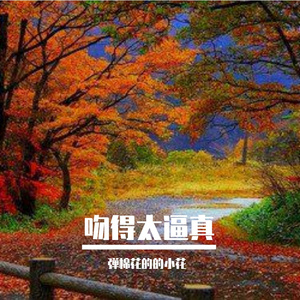 吻得太逼真 弹棉花的小花