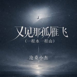 又见那孤雁飞 (一程水一程山)