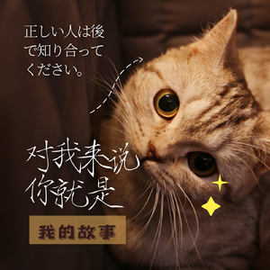 房东的猫-云烟成雨（自弹钢琴曲-升调版）（Riley-will remix）