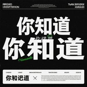 你懂得 (Cover 小沈阳 & 沈春阳)