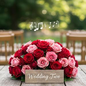 weddingthirtyone
