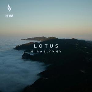 lotus‎