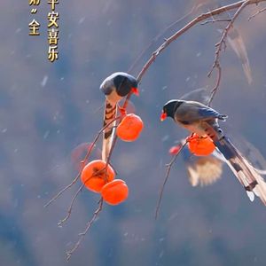 喜欢一个人