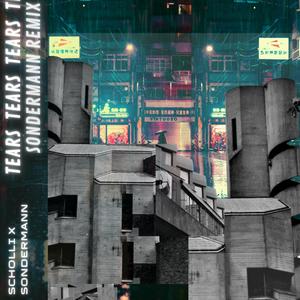 Tears (Sondermann Remix)