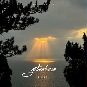 Gitmelisin