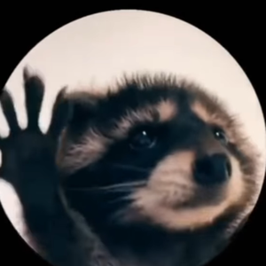 PEDRO (Techno Remix)