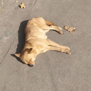 寒假（Prod.UVI）