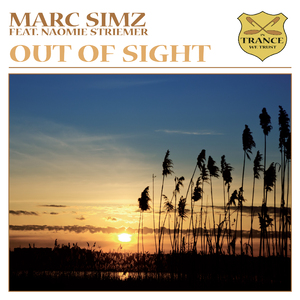 Out of Sight (Original Vocal Mix)