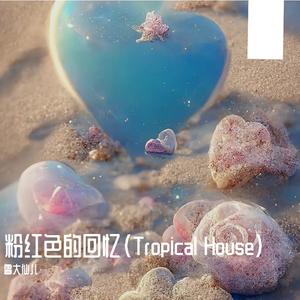 粉红色的回忆（Tropical House）
