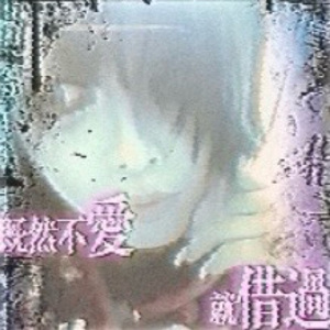 夏城雨
