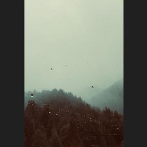 Lil' Momma (feat. NHN $peedy & CY)