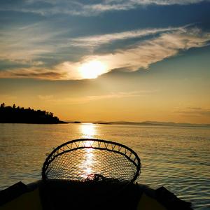 Donde la luz nos encuentra