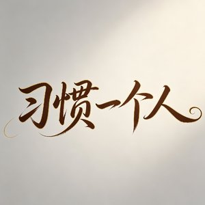 习惯一个人