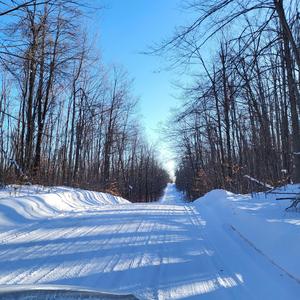 Sequential Starbursts
