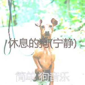 养育(音乐)
