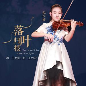 落叶归根（小提琴版）（翻自 王力宏）
