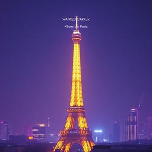 Amour Électrique