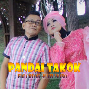 Pandai Takok (Remix)