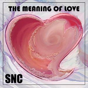 The Meaning Of Love
