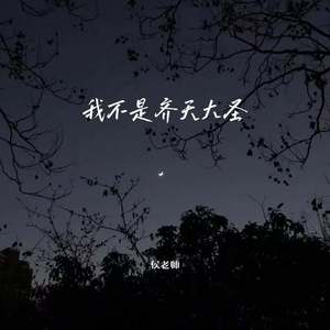 我不是齐天大圣