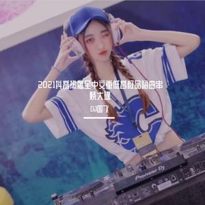 2021抖音热播全中文重低音极品嗨曲串烧大碟