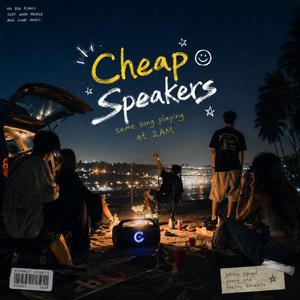Cheap Speakers