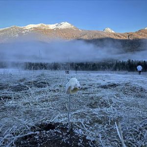 梦里面出现的画面