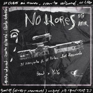 No Llores Mi Amor (Instrumental)
