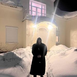 Пчелиный Йоло