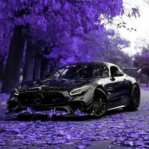 Fatrik-Fainted Priest (柏林之声）（动词does remix）