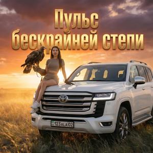 Пульс Бескрайней Степи