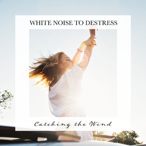 Catching the Wind, Pt. 3
