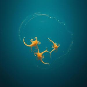 No More Ground (feat. PROD Y.J)