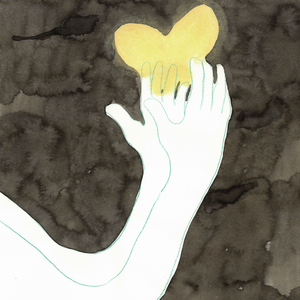 2x2 (Verschrin Tulip Mix)