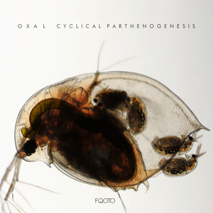 Parthenogenesis (Original Mix)
