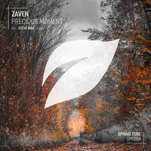 Precious Moment (Original Mix)