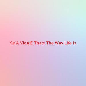 Se A Vida E (That's The Way Life Is) (Instrumental version originally performed by Pet Shop Boys)