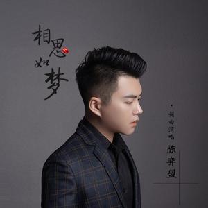相思如梦 (DJ版)
