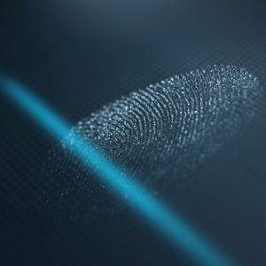 指纹（音源更新版）