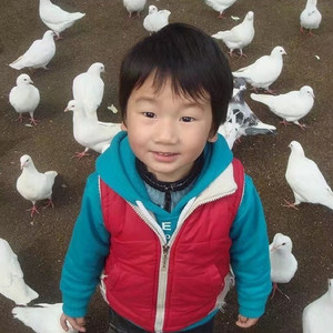 我要爱慕你（倾情版）