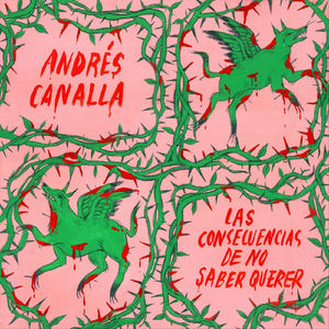 Las Consecuencias de No Saber Querer