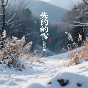 失约的雪