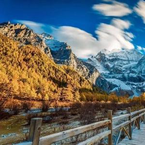 不管你是谁我只爱你