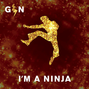 I'm a Ninja